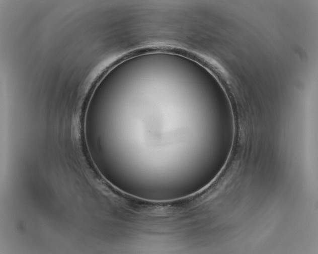 X0000113321279200909141347