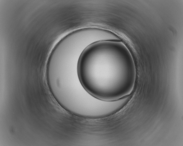 X0000113321280200909141347