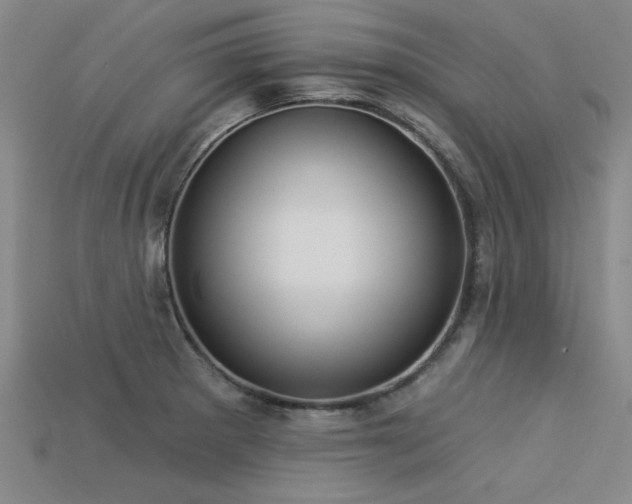 X0000113321281200909141347