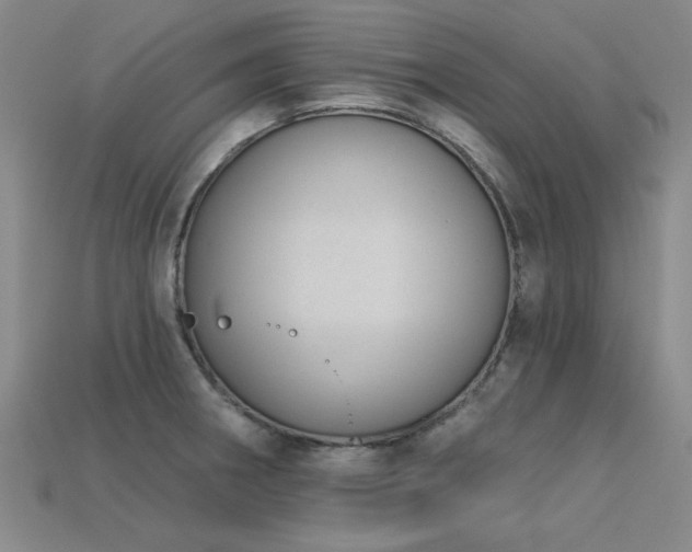 X0000113321282200909141347