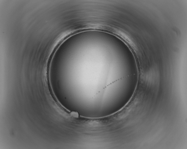 X0000113321283200909141347