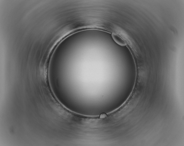 X0000113321284200909141347