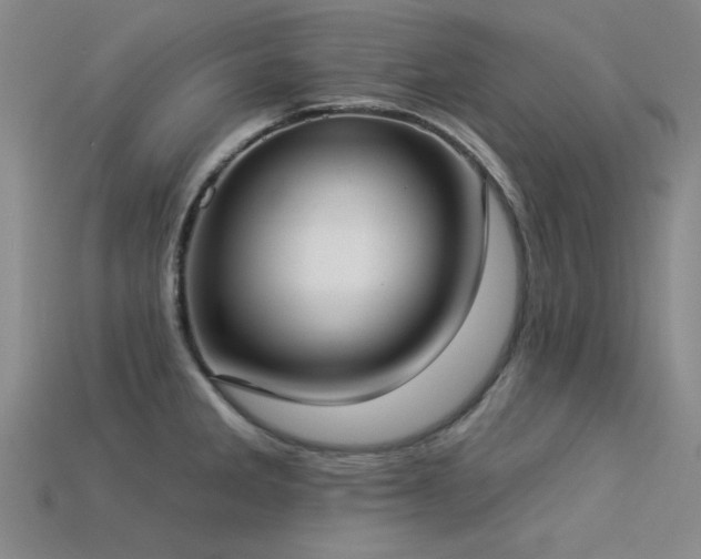 X0000113321285200909141347