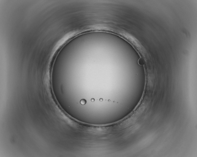 X0000113321286200909141347
