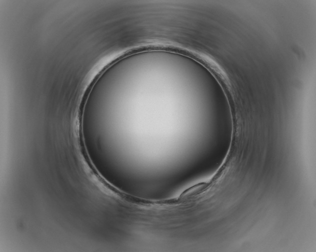 X0000113321287200909141347