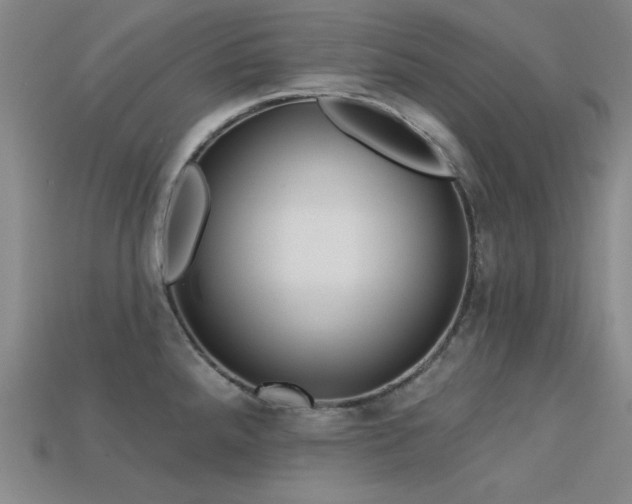 X0000113321288200909141347
