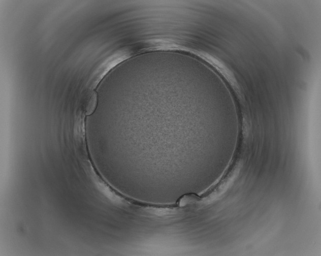 X0000113321289200909141347