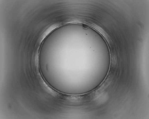 X0000113321290200909141347