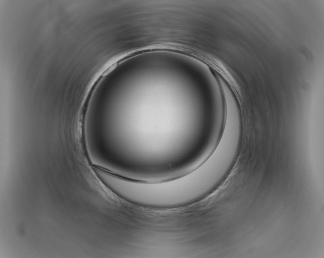 X0000113321292200909141347