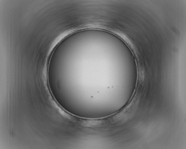 X0000113321294200909141347