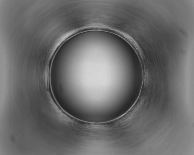 X0000113321295200909141347