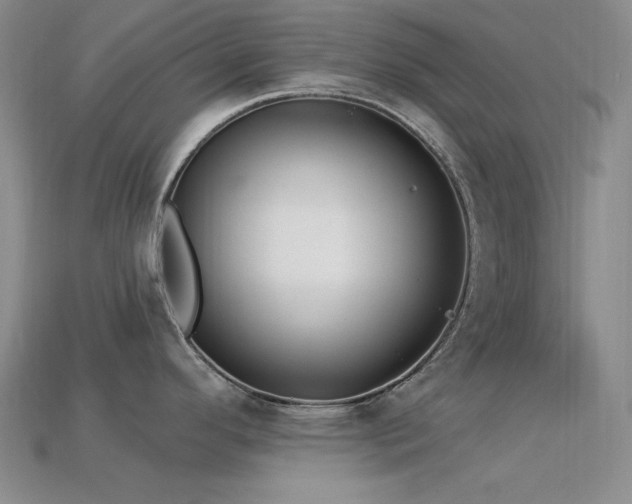 X0000113321296200909141347