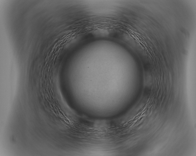 X0000113321297200909141347