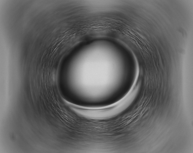 X0000113321298200909141347