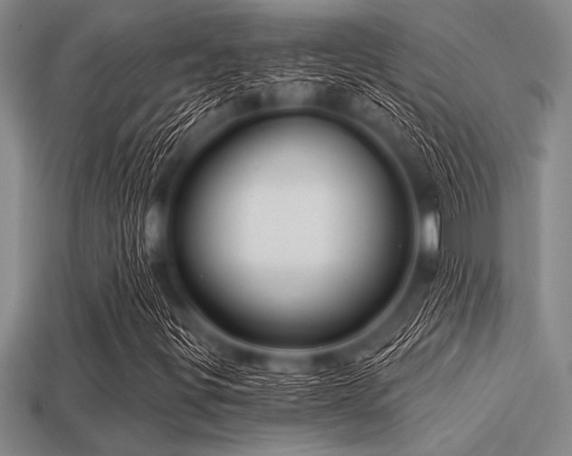 X0000113321299200909141347