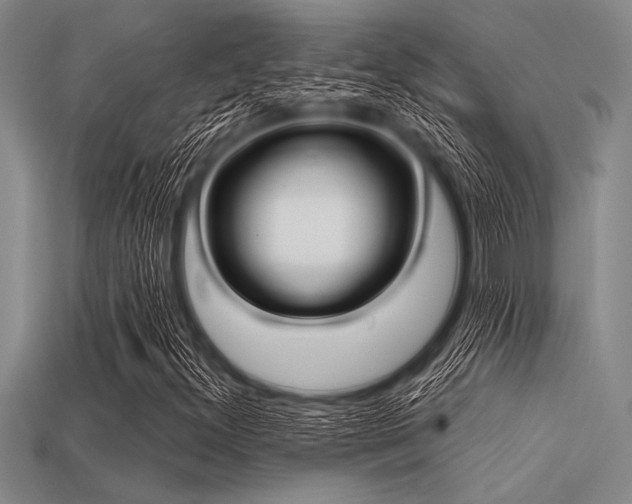X0000113321300200909141347