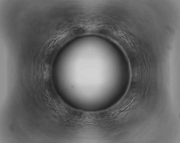 X0000113321301200909141347