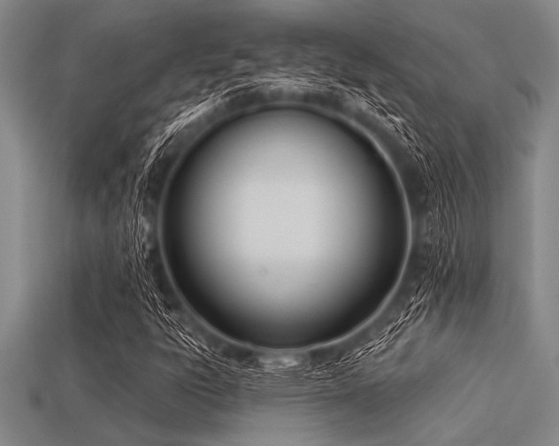 X0000113321303200909141347