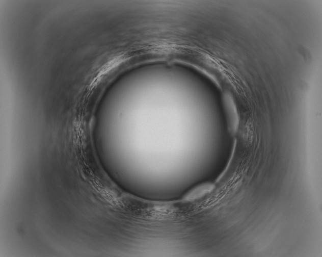 X0000113321304200909141347