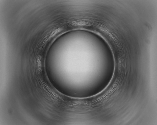 X0000113321305200909141347