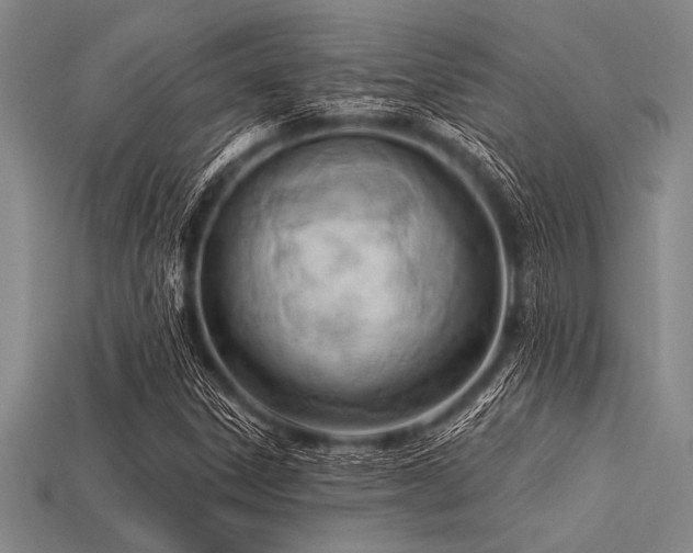 X0000113321306200909141347