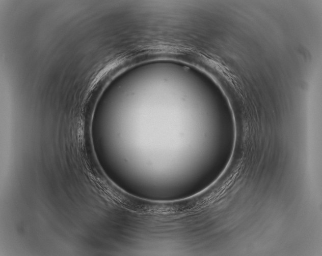 X0000113321307200909141347