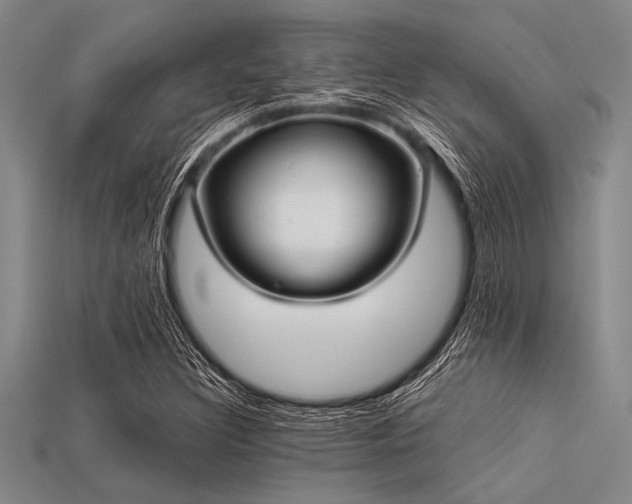 X0000113321308200909141347