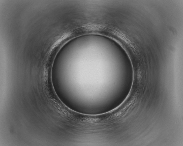 X0000113321309200909141347