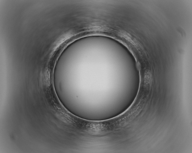 X0000113321310200909141347
