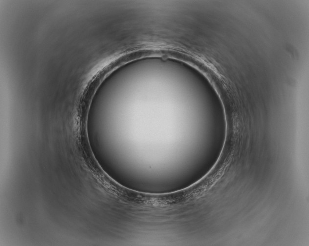 X0000113321311200909141347