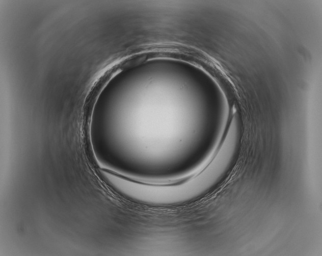 X0000113321312200909141347