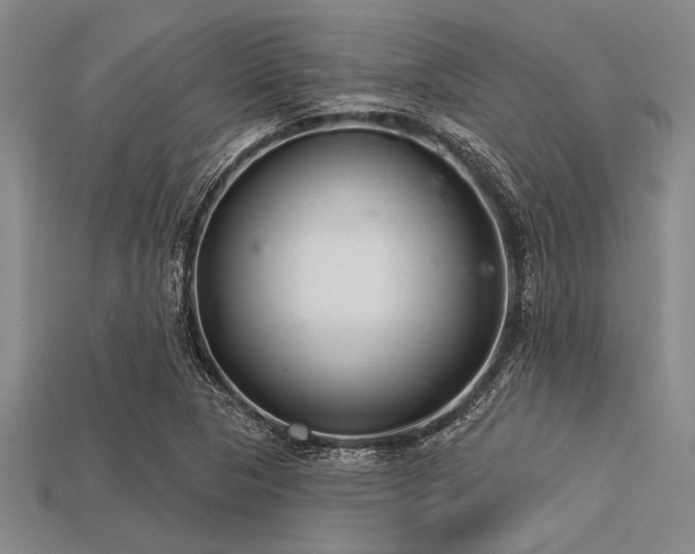 X0000113321313200909141347