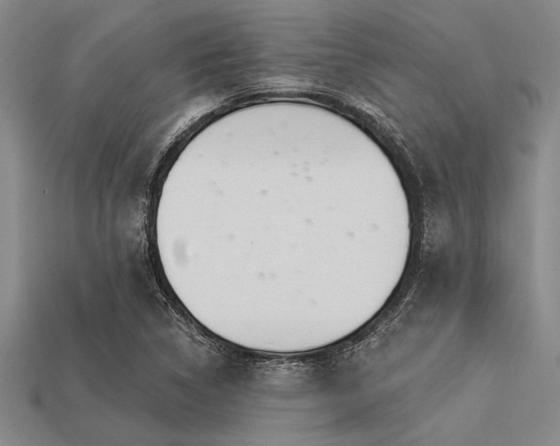 X0000113321314200909141347