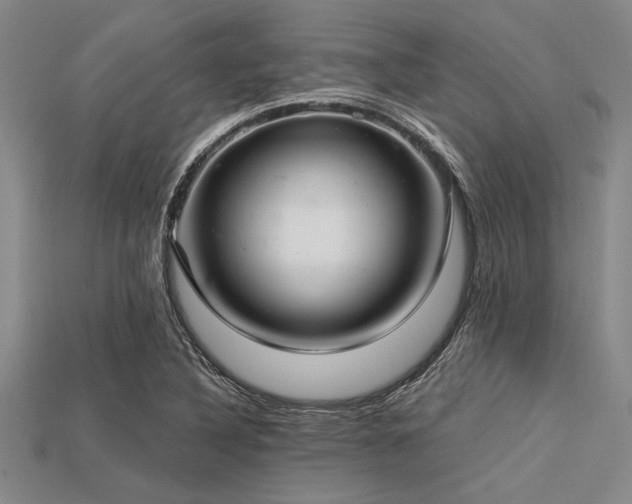 X0000113321316200909141347