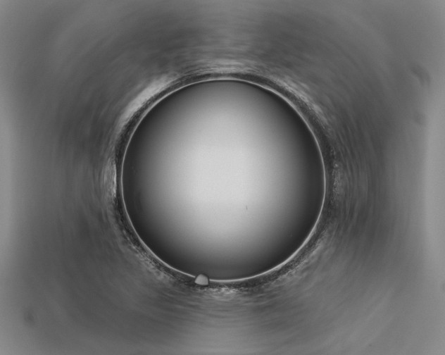 X0000113321317200909141347