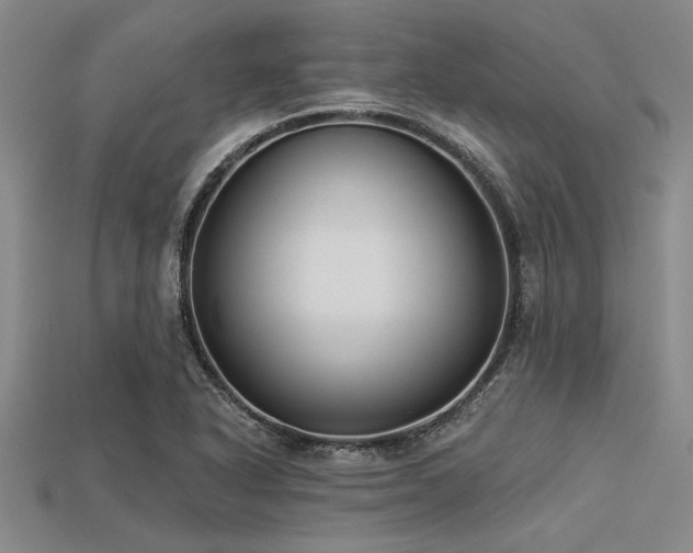 X0000113321318200909141347