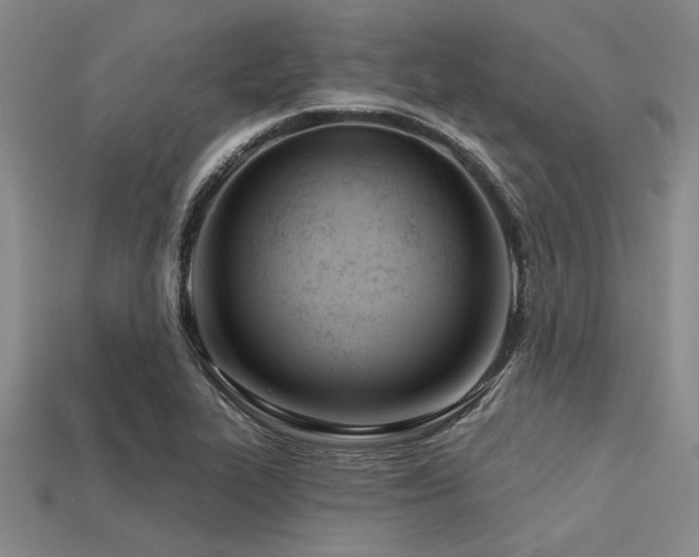 X0000113321319200909141347