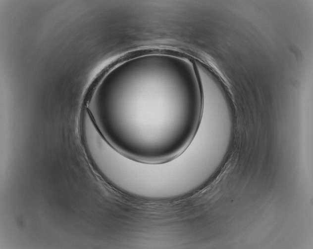 X0000113321320200909141347