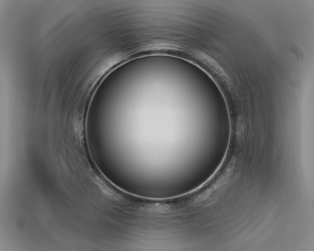 X0000113321321200909141347