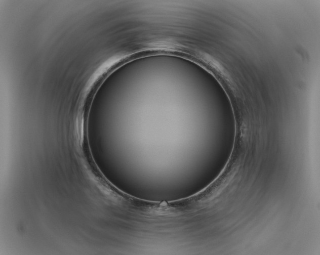 X0000113321323200909141347