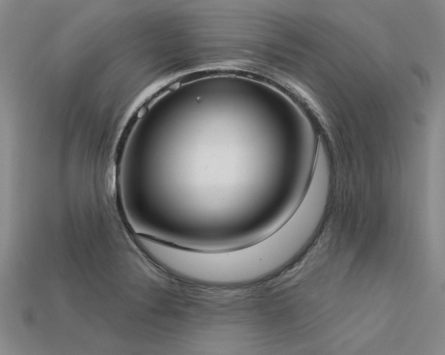 X0000113321324200909141347