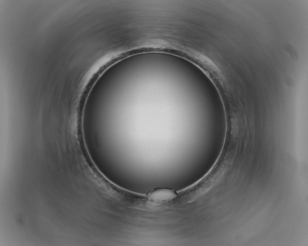 X0000113321326200909141347