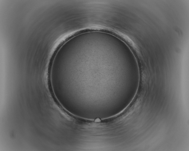 X0000113321327200909141347