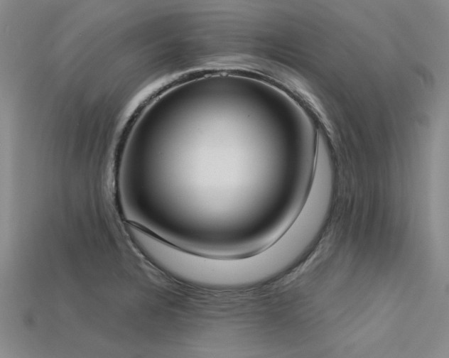 X0000113321328200909141347
