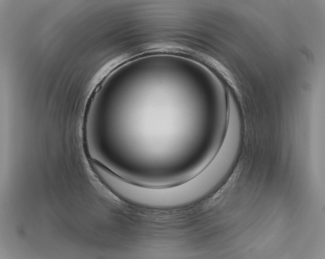 X0000113321330200909141347