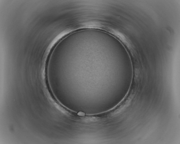 X0000113321331200909141347