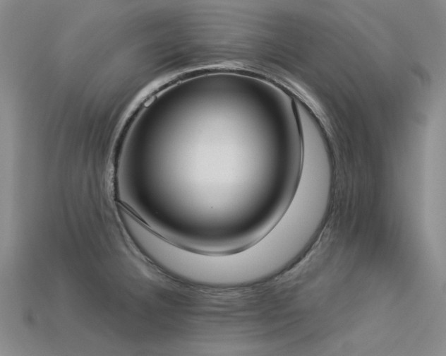 X0000113321332200909141347