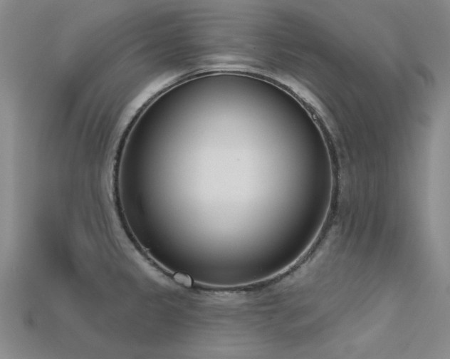 X0000113321333200909141347