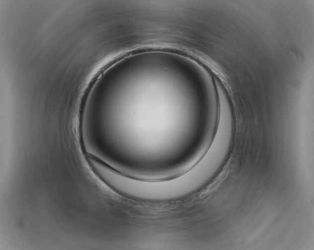 X0000113321334200909141347