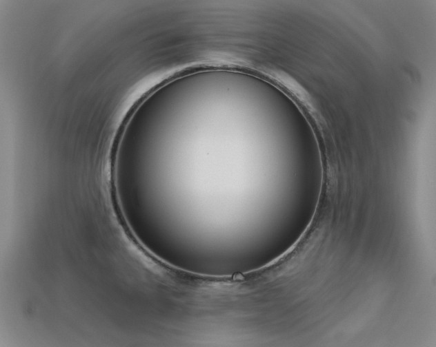 X0000113321335200909141347